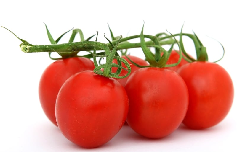 Fruits and Vegetables